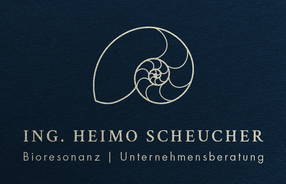 Heimo Scheucher Unternehmensberatung