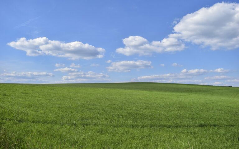 Freiland Foto