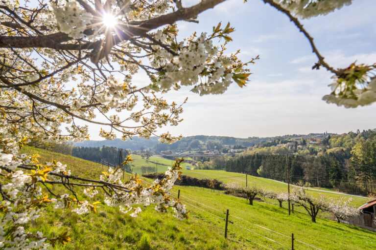 gmd-nestelbach-fruehling (c)TheFlow DSC3288