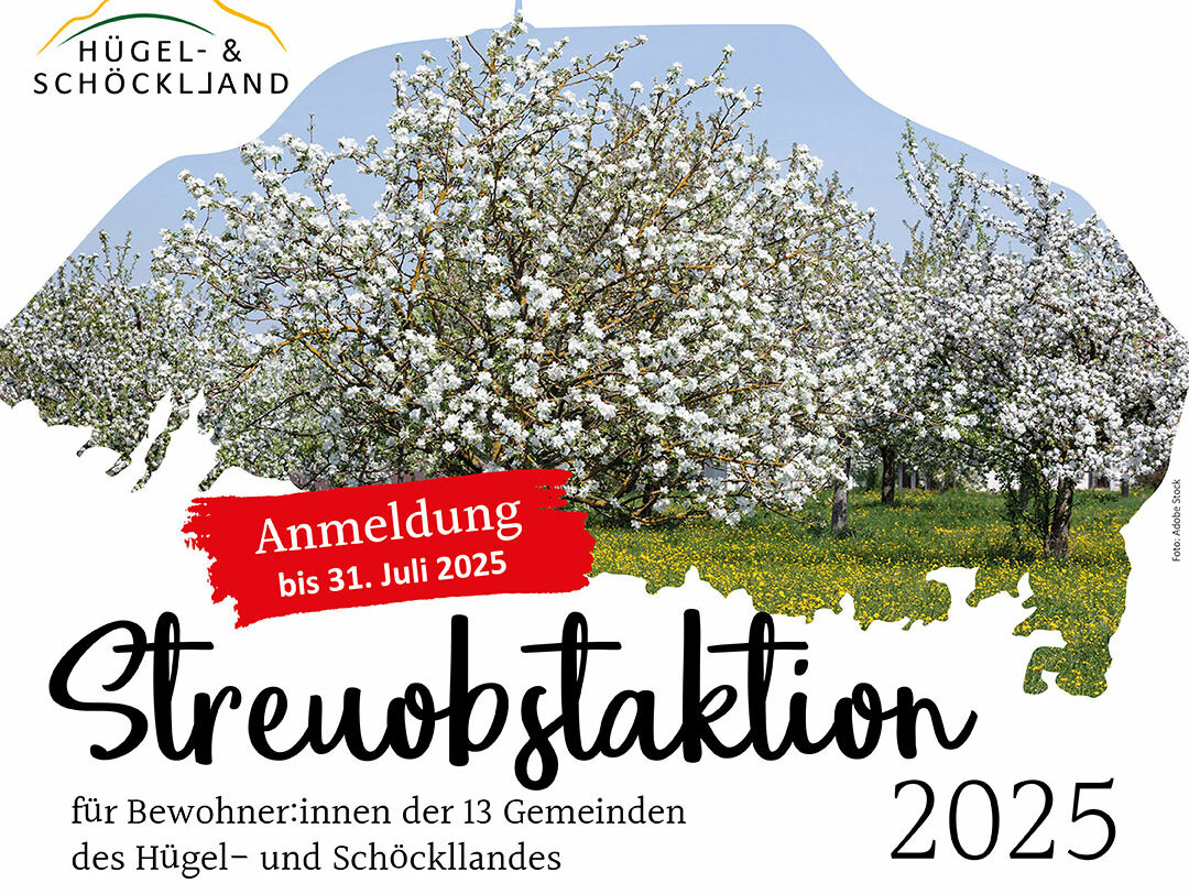 Streuobstaktion-2025_INSTAGRAM
