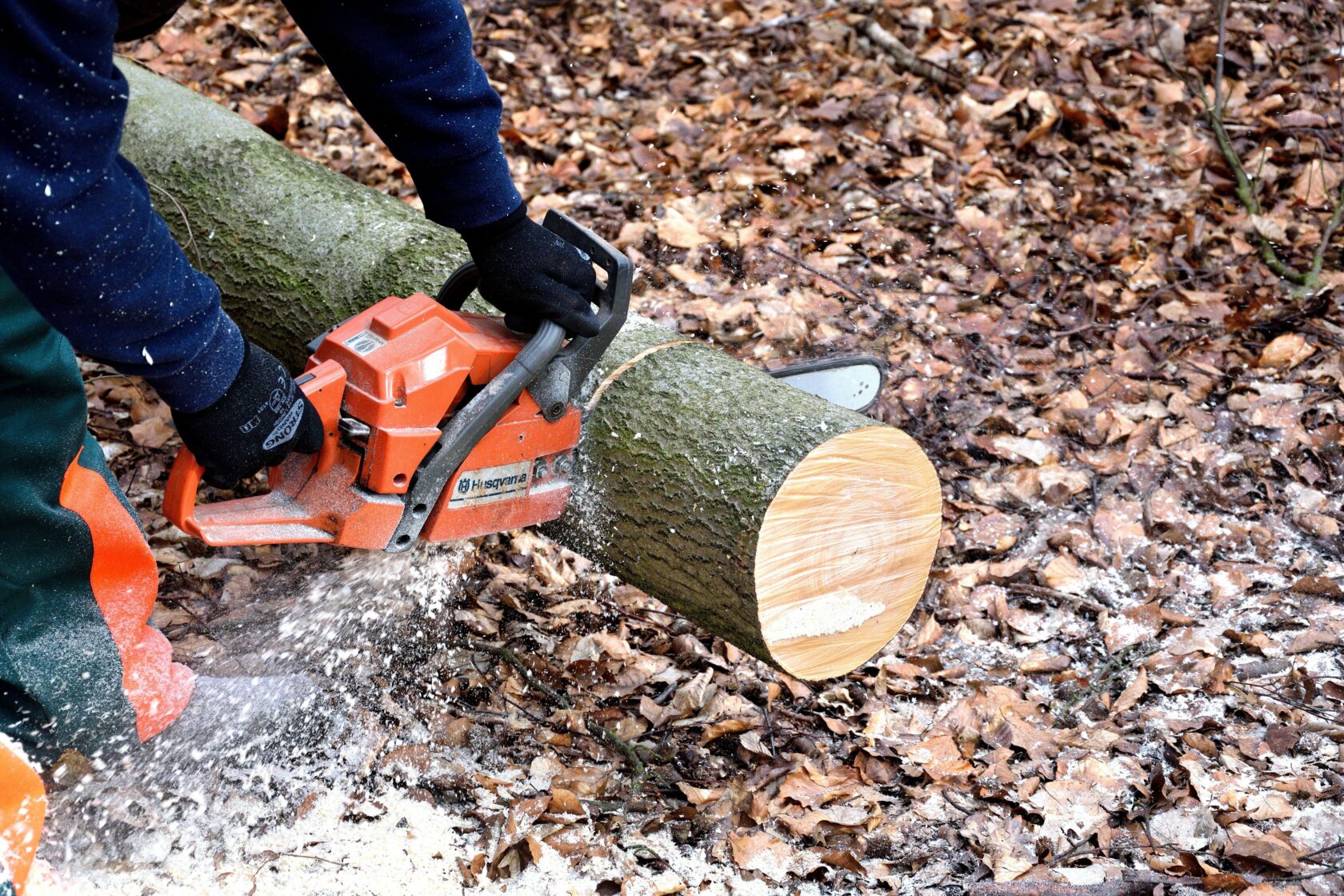 hanslinde-lumberjack-2146509