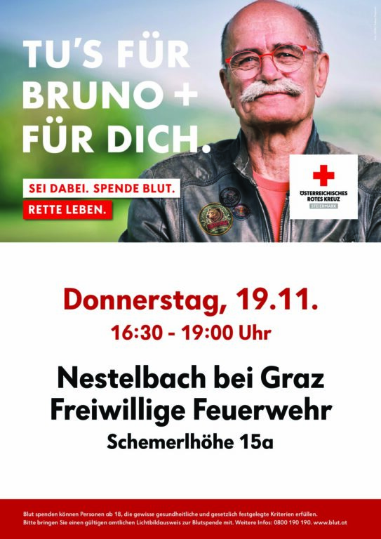 GUS_261119_5_Nestelbach bei Graz